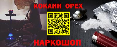 амф Камышлов