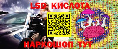 амф Кандалакша