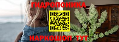 сатива Канаш