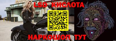 амф Кандалакша