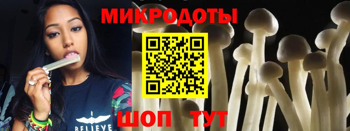 Псилоцибиновые грибы Magic Shrooms  как найти закладки  Галлюциногенные грибы MAGIC MUSHROOMS  Курчатов  Вход с VPN 